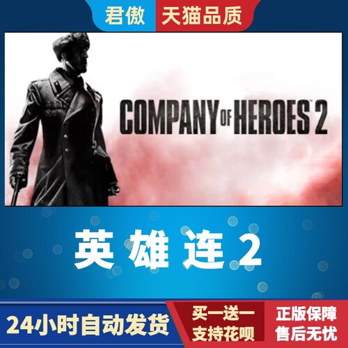SteamPC正版游戏英雄