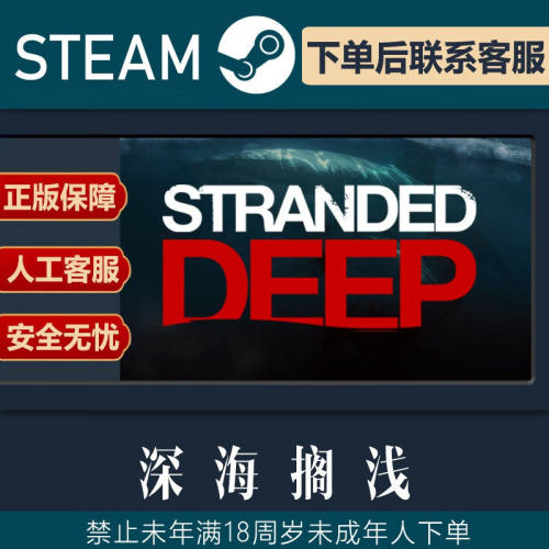 SteamPC正版游戏古墓