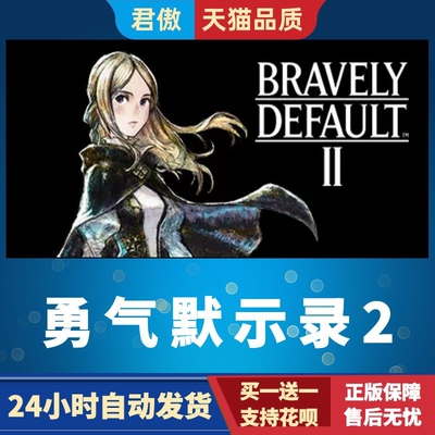 SteamPC正版游戏勇气