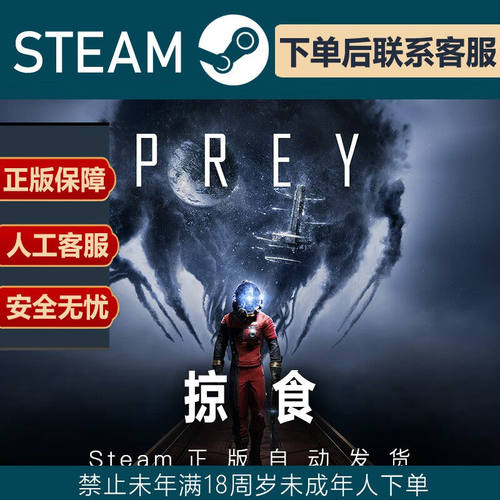 SteamPC正版游戏Bro土