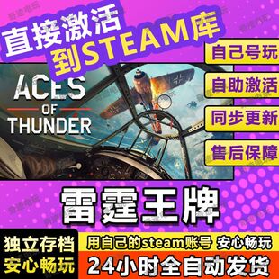 Thunder 入库单机电脑游戏Aces 雷霆王牌steam游戏cdkey激活码