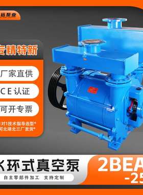 冀真2BE253水环真空泵铸铁不锈钢工业循环水抽真空液环泵博远泵业