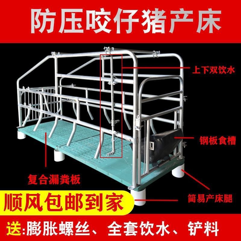 新款落地式母猪产床带漏粪板