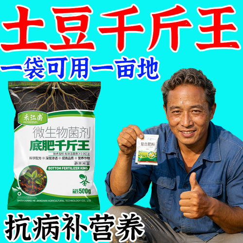 种土豆专用肥底肥宝马铃薯专用型肥料抗病增产膨大复合颗粒缓释肥