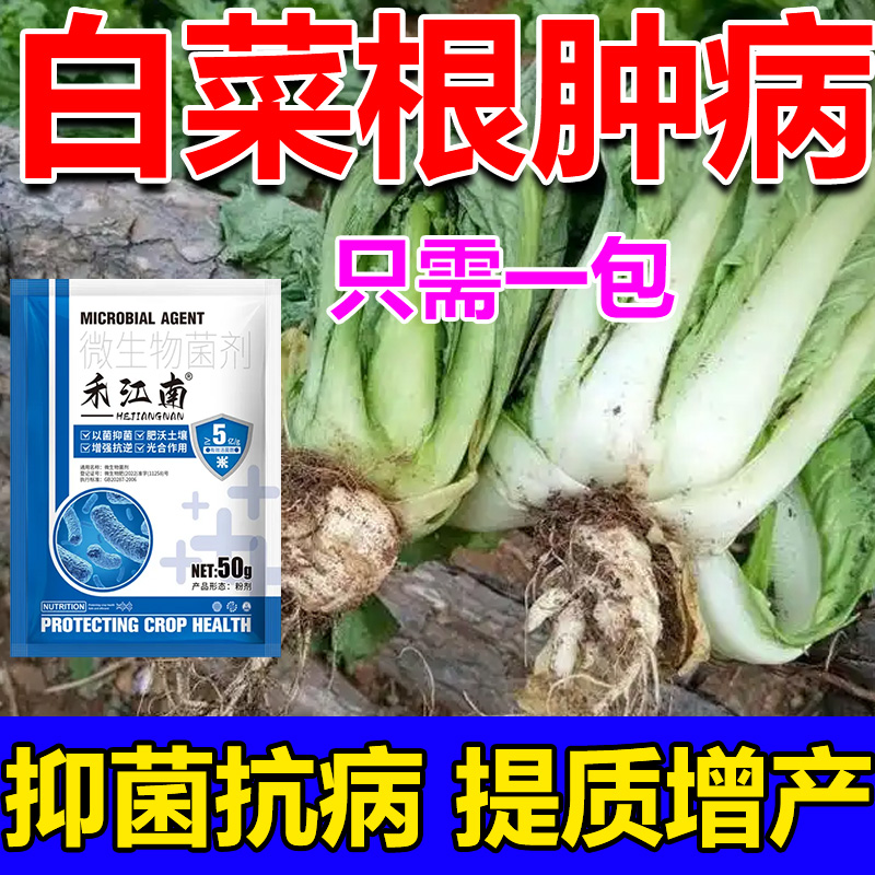 白菜根肿病专用药蔬菜油菜青菜萝卜软腐病根瘤病特效杀菌剂