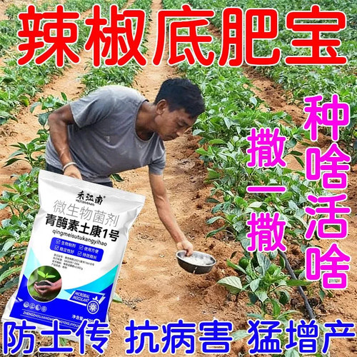 辣椒底肥宝青椒朝天椒辣椒种植促根壮苗调理土壤微生物肥料益众生