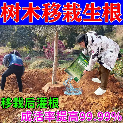 树木移栽生根粉快速生根植物果树通用树木移栽植物强力有机生根粉