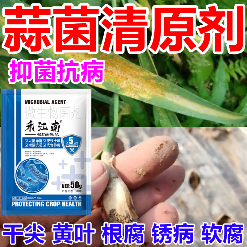 大蒜专用蒜菌清原液提取生物菌剂抗病增产种大蒜神器大蒜种植专用