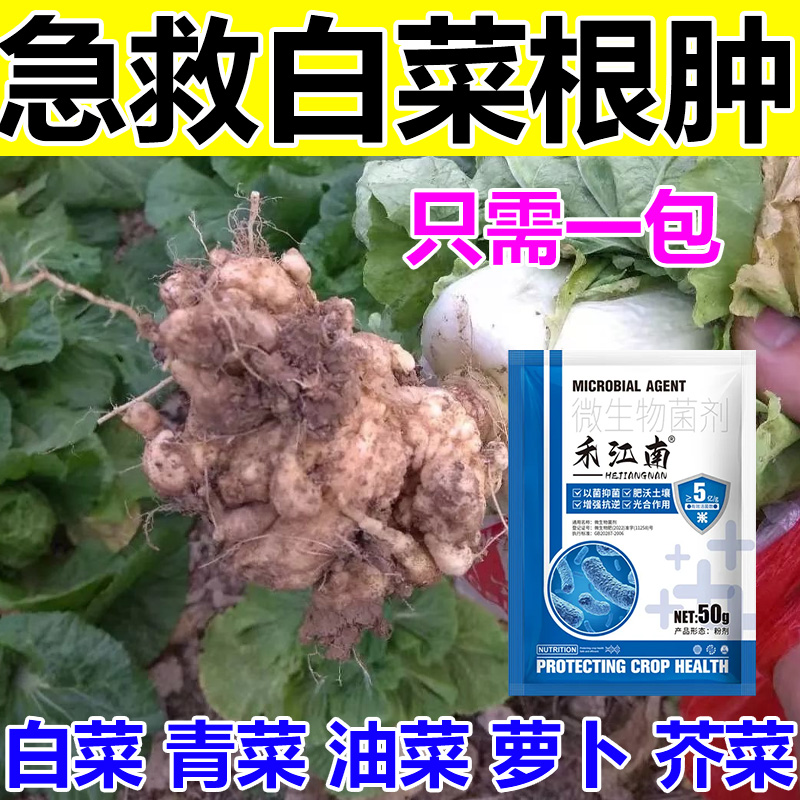 白菜根肿病专用药蔬菜油菜青菜萝卜软腐病根瘤病特效杀菌剂