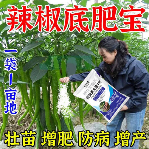 辣椒底肥宝青椒朝天椒辣椒种植促根壮苗调理土壤微生物肥料禾江南