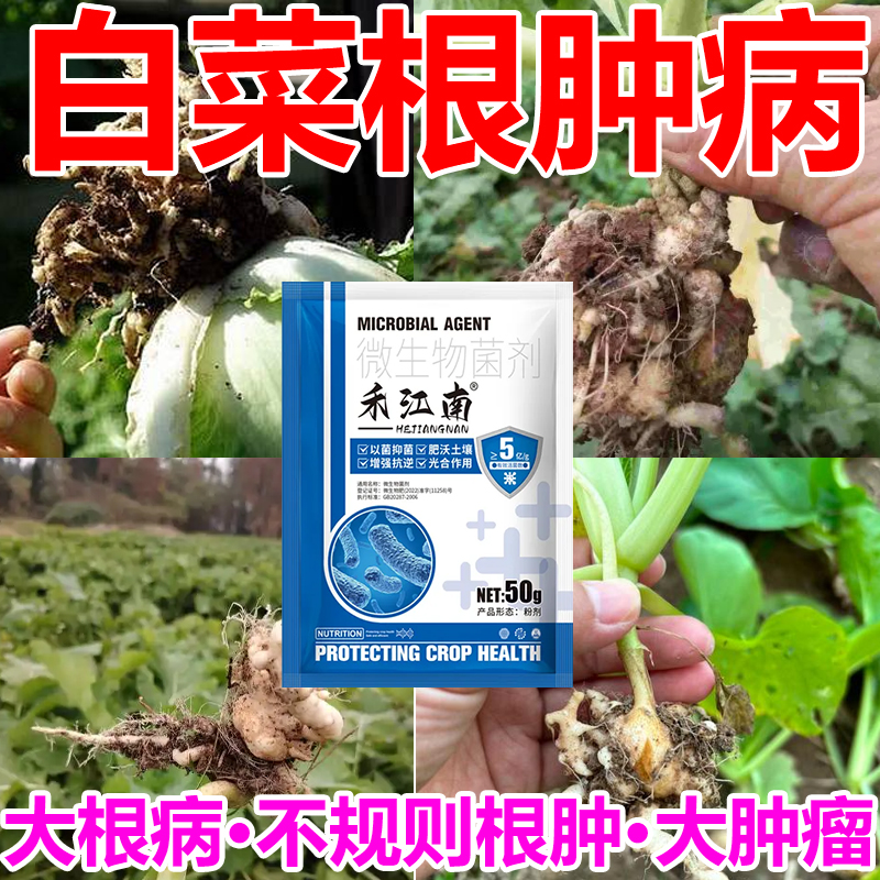 白菜根肿病专用药蔬菜油菜青菜萝卜软腐病根瘤病特效杀菌剂