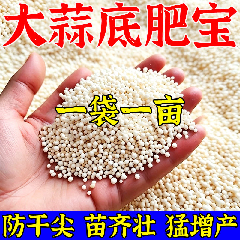 大蒜底肥宝防干尖增产粗壮高产快速吸收改善土壤提高免疫力叶面肥