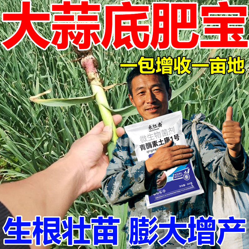 大蒜底肥宝猛长大蒜专用肥膨大素防干尖防病害增产粗壮高产专用