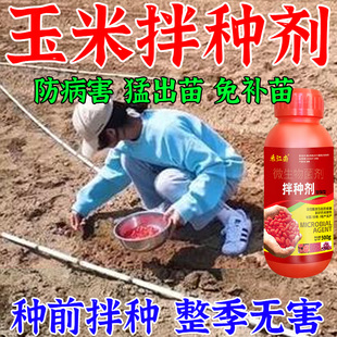 玉米拌种剂包衣剂玉米专用拌种防虫防病抗菌微生物种衣剂正品