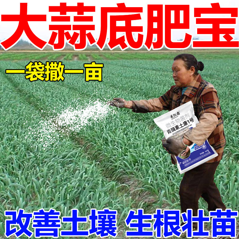 大蒜底肥宝大蒜专用肥膨大防干素尖防病害增产粗壮高产新型肥料