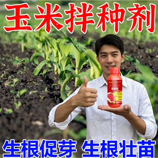 玉米拌种剂包衣剂玉米专用拌种微生物菌剂抗病菌玉米悬浮种衣剂