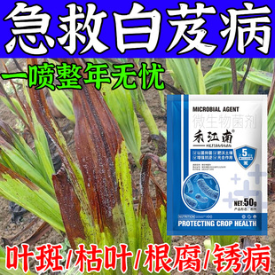 白芨专用药白芨病菌清黑斑软腐病炭疽病灰霉病黄锈病除专用杀菌剂
