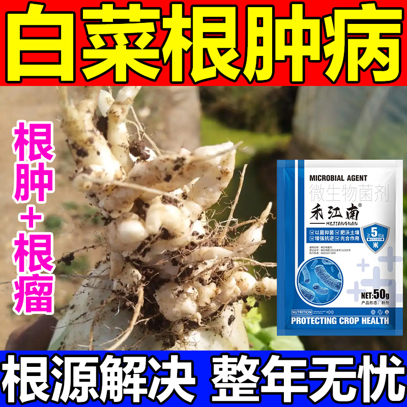 白菜根肿病专用药白菜油菜青菜黄叶矮小枯萎死棵根腐病蔬菜病全治