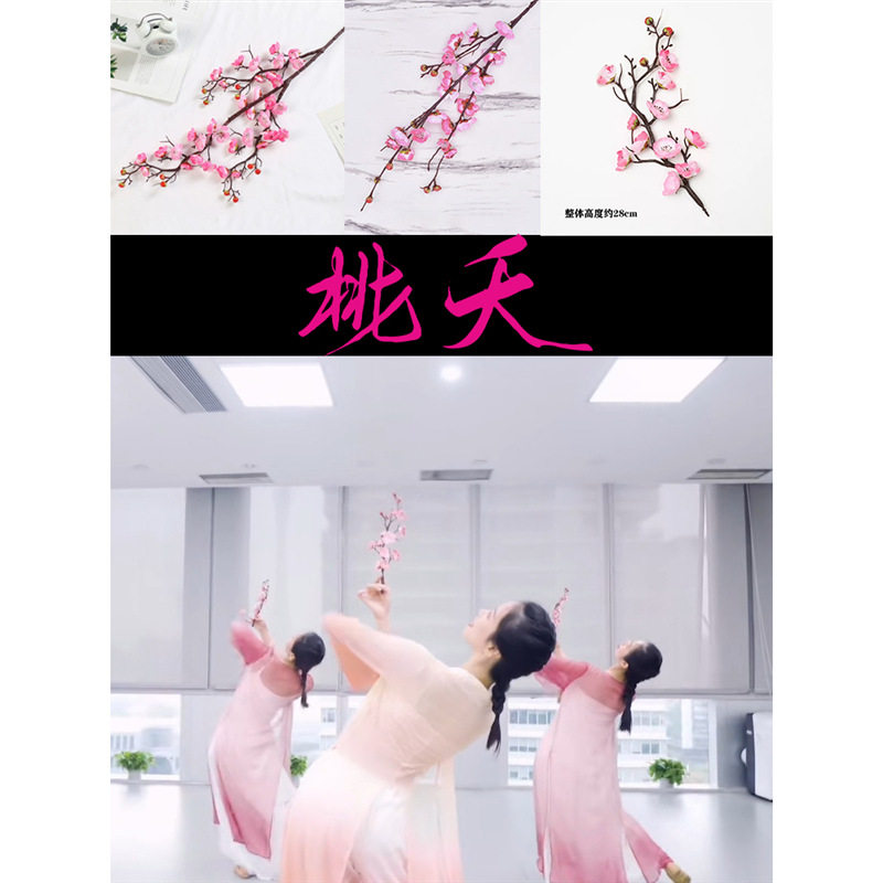 桃夭古典舞真桃花枝逃之夭夭