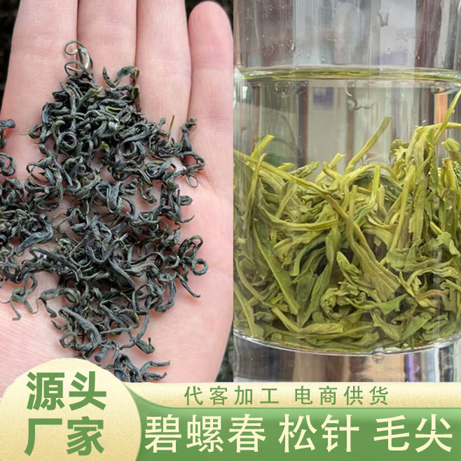 毛尖 松针 碧螺春绿茶散茶 散装茶叶自己喝 现货 量大