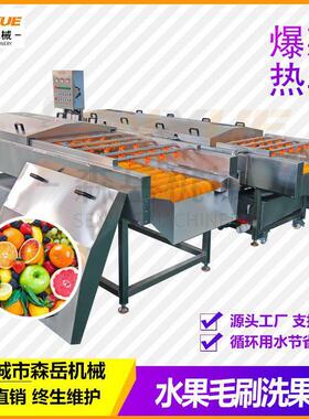 全自动毛刷洗果机不伤果304不锈钢循环水水果平行毛辊清洗机现货