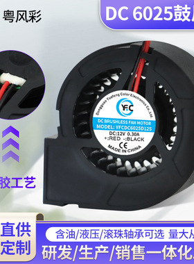 DC6025鼓风机12V含油按摩仪智能马桶涡轮烘干机净化器涡轮鼓风机