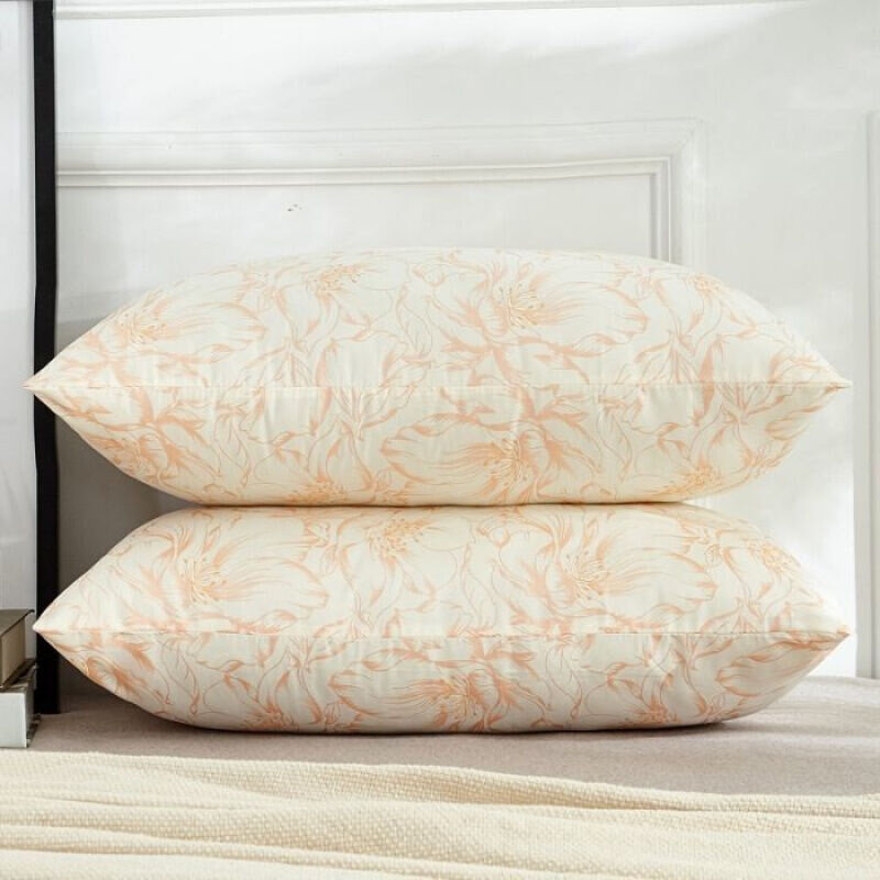 枕头枕芯一对装可水洗枕头单人酒店枕头芯家用土豪金【低枕】一个