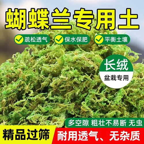 青苔蝴蝶兰水苔干苔藓纯兰花专用天然石斛种植营养土乌龟垫材植料