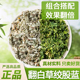 翻白草绞股蓝组合中药材泡水喝新鲜翻白草加绞股蓝茶独立茶包