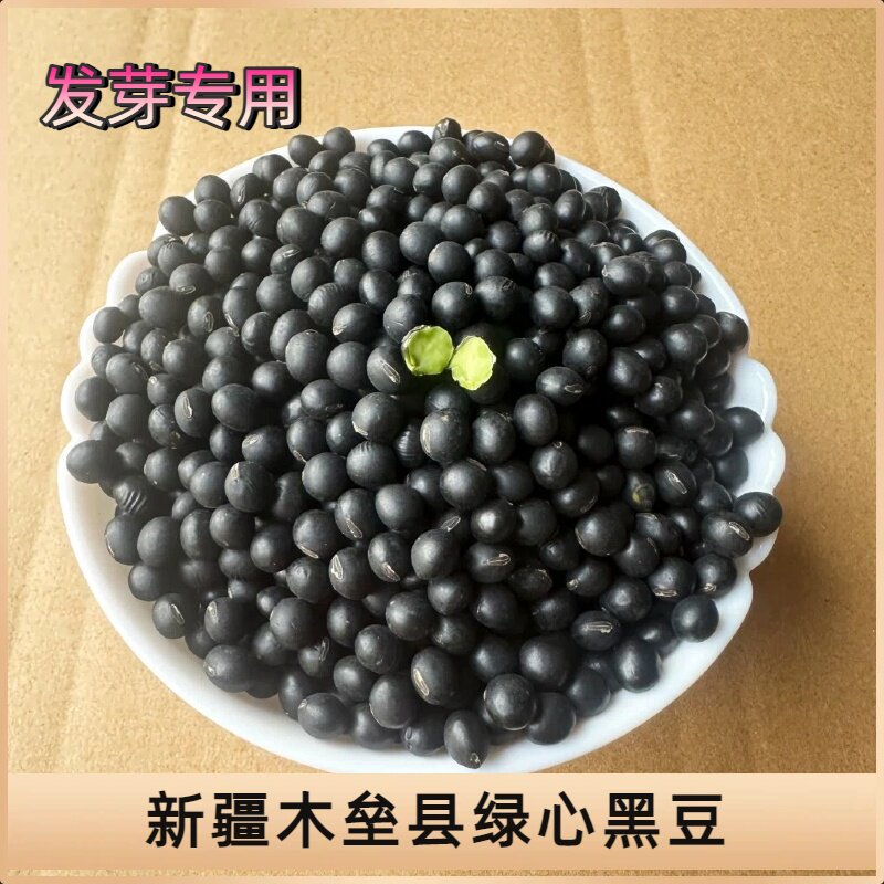 新疆木垒县农家老品种绿心发芽黄黑豆