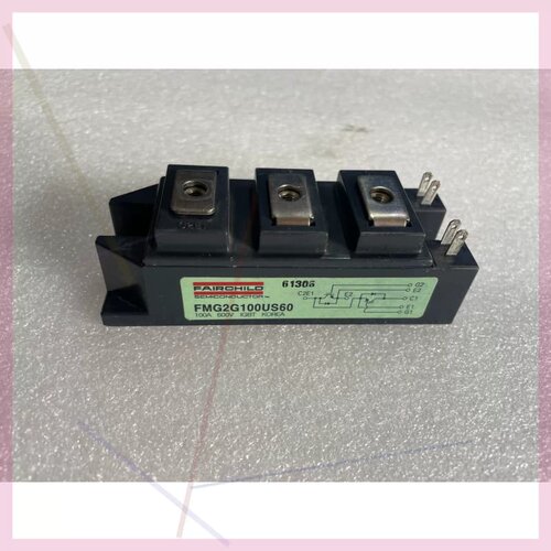 议价FMG2G100US60