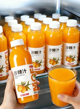 商超爆款沙棘汁整箱360ml*24瓶整箱VC沙棘汁厂家直销特价批发酸甜