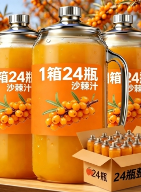 沙棘汁整箱360ml*24瓶整箱VC沙棘汁厂家直销特价批发酸甜果味饮料