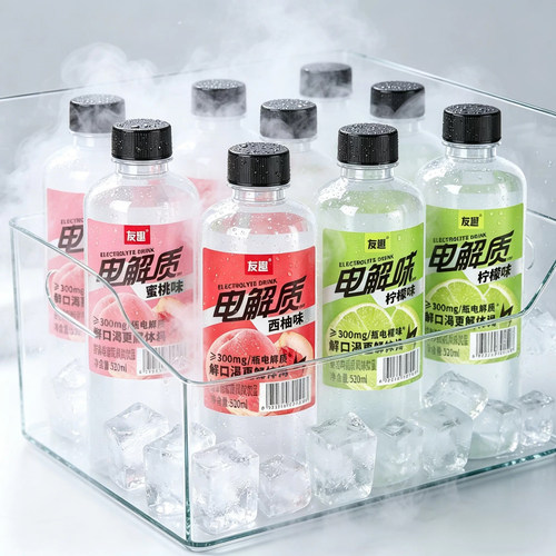 【15瓶整箱】电解质水520ml