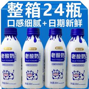 原味老酸奶饮品280ml*24瓶
