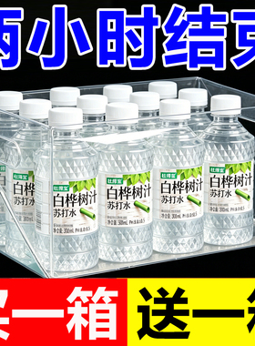 【买1送1箱】白桦树汁苏打水整箱24瓶*300ml弱碱性PH8.0植物饮品