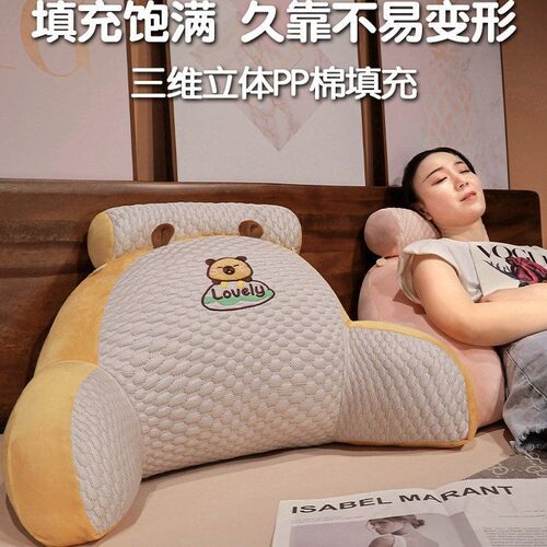 卡通四季款床头靠枕男女专用腰靠垫宿舍手机看书可拆洗办公室椅靠