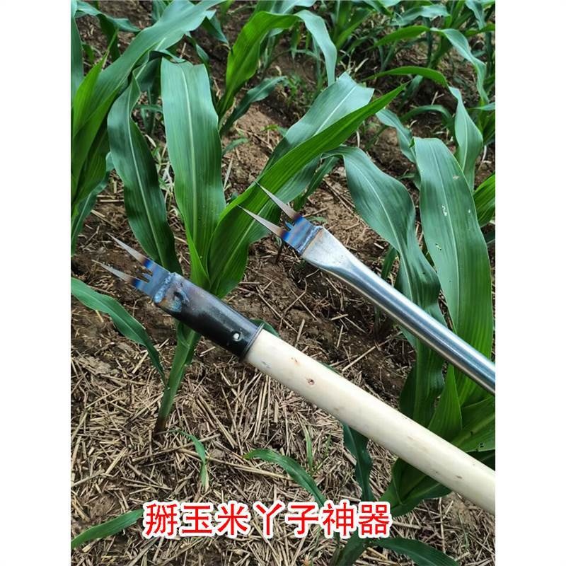 掰玉米丫子神器农用不弯腰搬苞米除苗打叉红薯牙掐碗专用工具新款