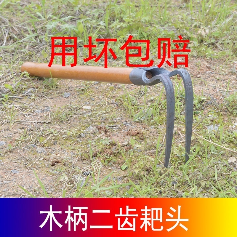 现货速发！手工锻打一体二齿三齿木柄耙子锄头种菜种花钓鱼挖蚯蚓