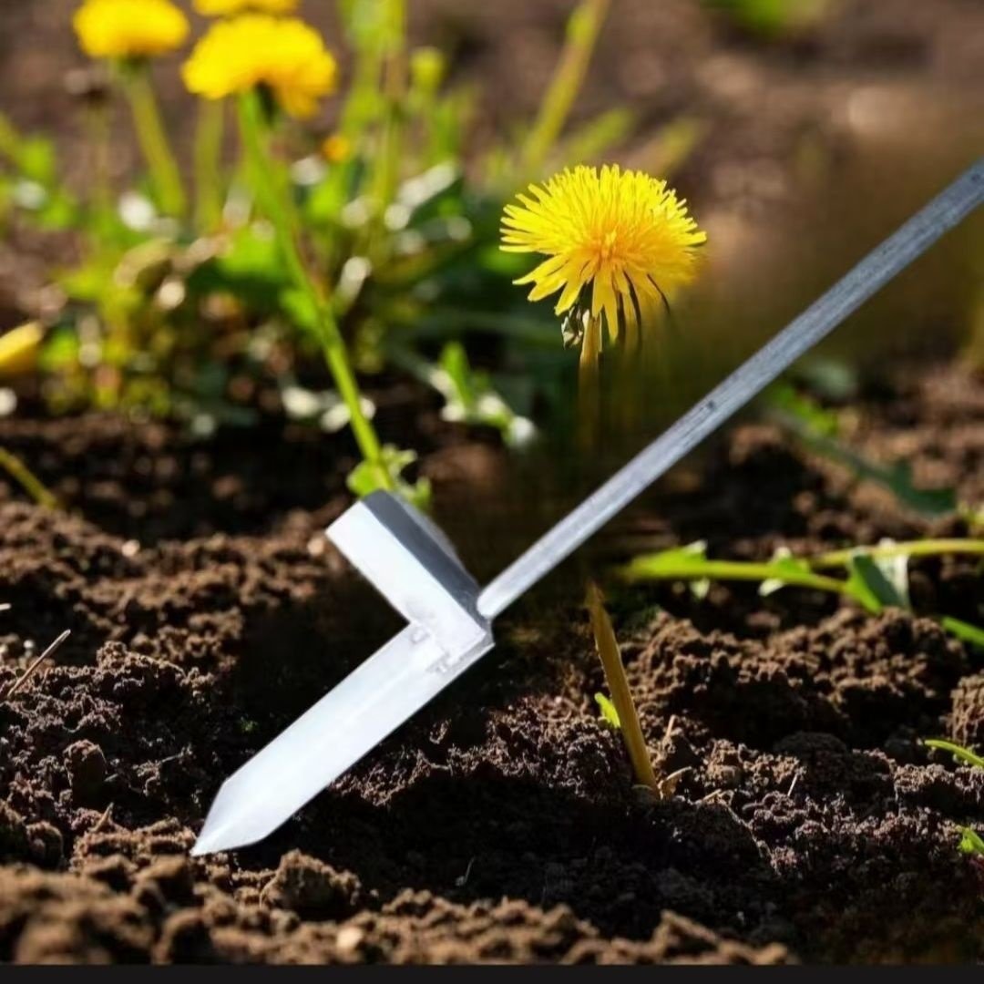 新款尖头挖锹松土蔬菜铲施肥挖薄黄神器施肥追肥踩苗野菜脚公英,农机/农具/农膜,其它农用工具,淘宝优惠券,粉丝福利购,淘宝优惠卷