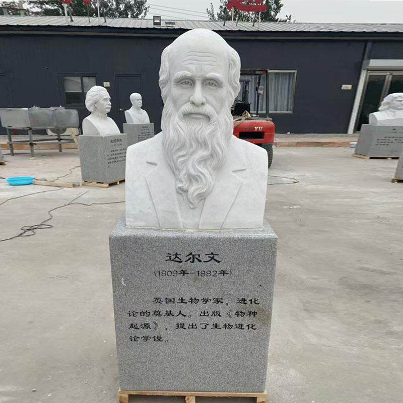 石雕人物雕塑汉白玉半身胸像花岗岩半身像名人雕像校园雕塑厂家
