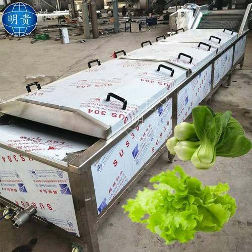 蔬菜漂烫杀青流水线 薯条薯片漂洗预煮机器 果蔬加工设备