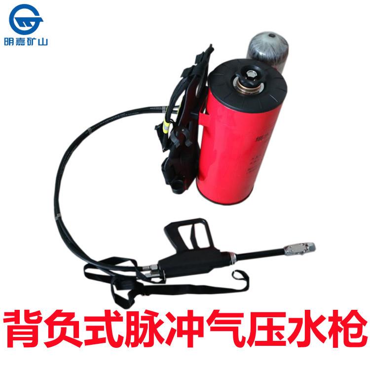 QWMB12型高压喷雾水枪12L喷雾水枪 背负式脉冲气压喷雾水枪