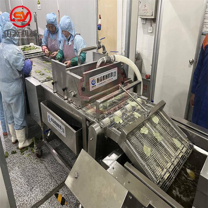 香酥翠叶上浆机 全自动挂糊裹浆机设备 上浆均匀桑叶挂浆机