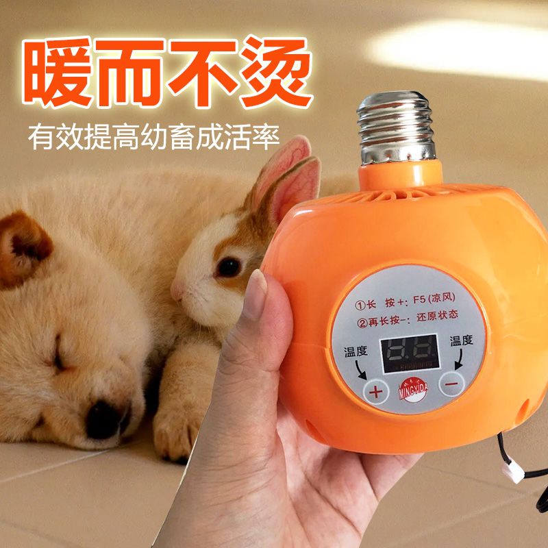 温控宠物用暖风机鸡鹦鹉仓鼠爬宠蜜袋嚭保暖小鸡加热保暖灯鹦鹉猪