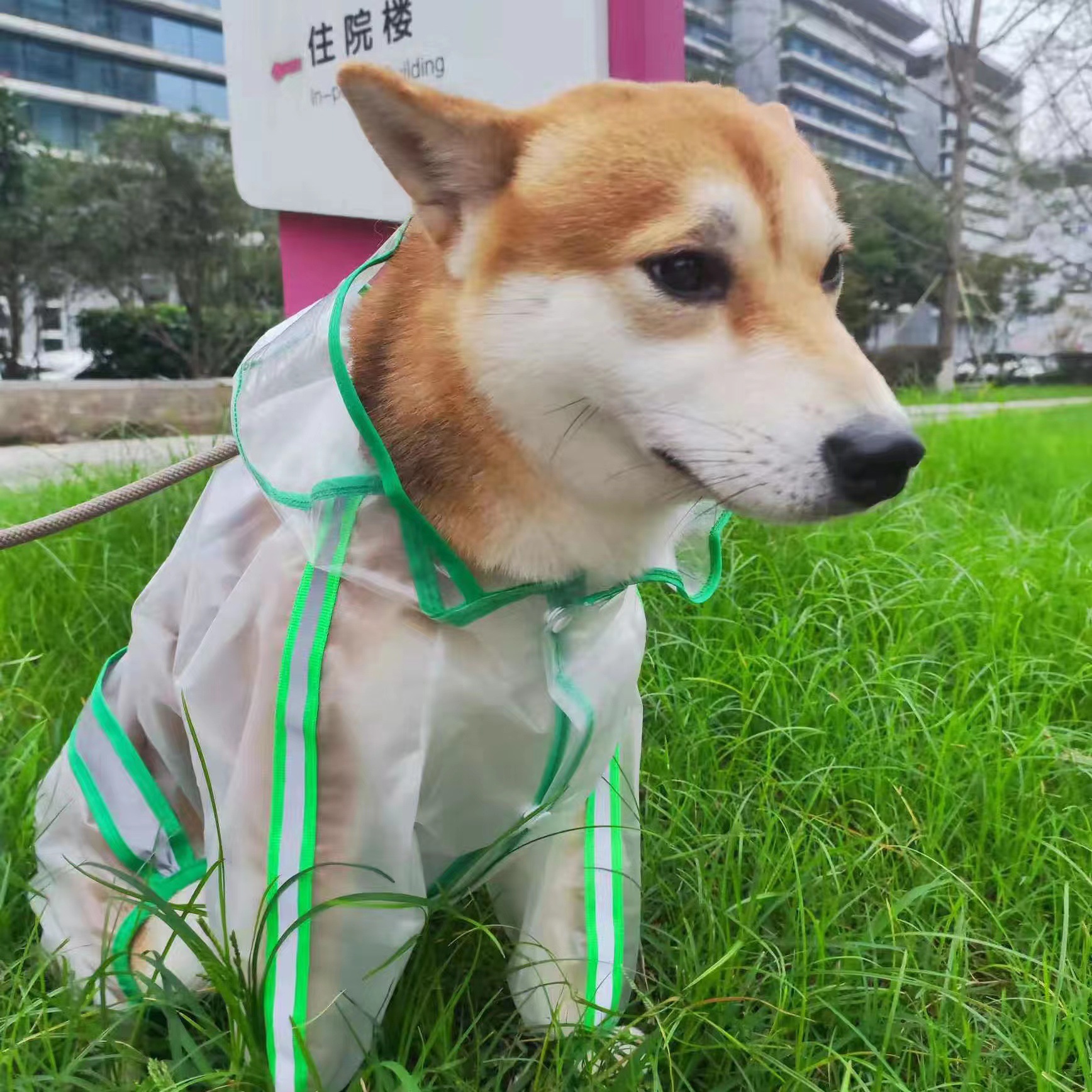 穿戴方便舒适可牵引狗狗四脚雨衣防水大中小型犬带尾巴款狗狗雨衣
