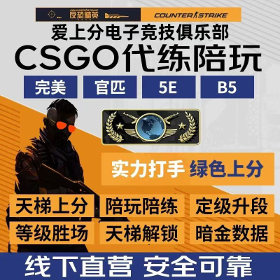CSGO代练5E天梯上分CS2起源2定级赛等级代打肝胜场段位陪玩管匹配