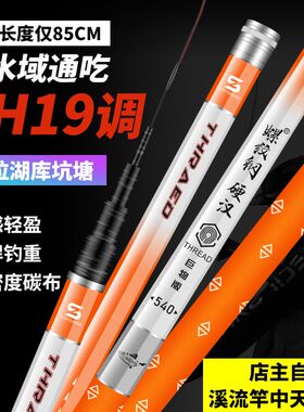 短节鱼竿手竿e溪流竿超轻超硬28调19调高碳素5.4/8/10米鲫鲤钓鱼