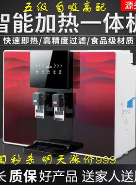 消毒加热一体机净水器过滤家用直饮ro反渗透厨房挂壁纯水机饮水机