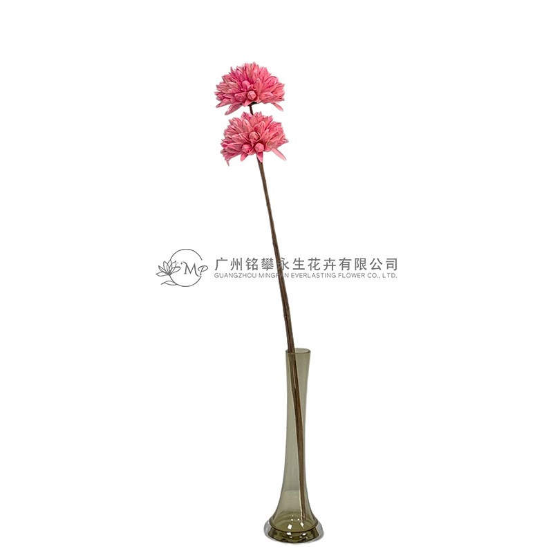 【紫荆莲】木槿花干莲蓬木莲花插花拍摄道具家居软装